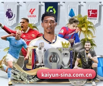 kaiyun-sina.com.cn APP
